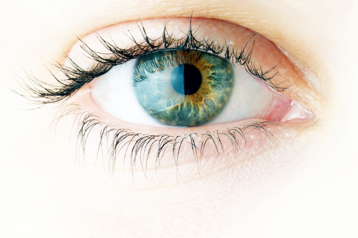 A close up image of an eyeball.