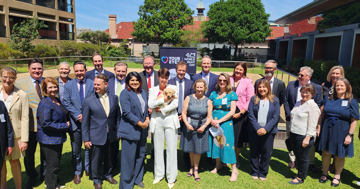 A group image of Vision 2020 members at Parliament House in Sydney.